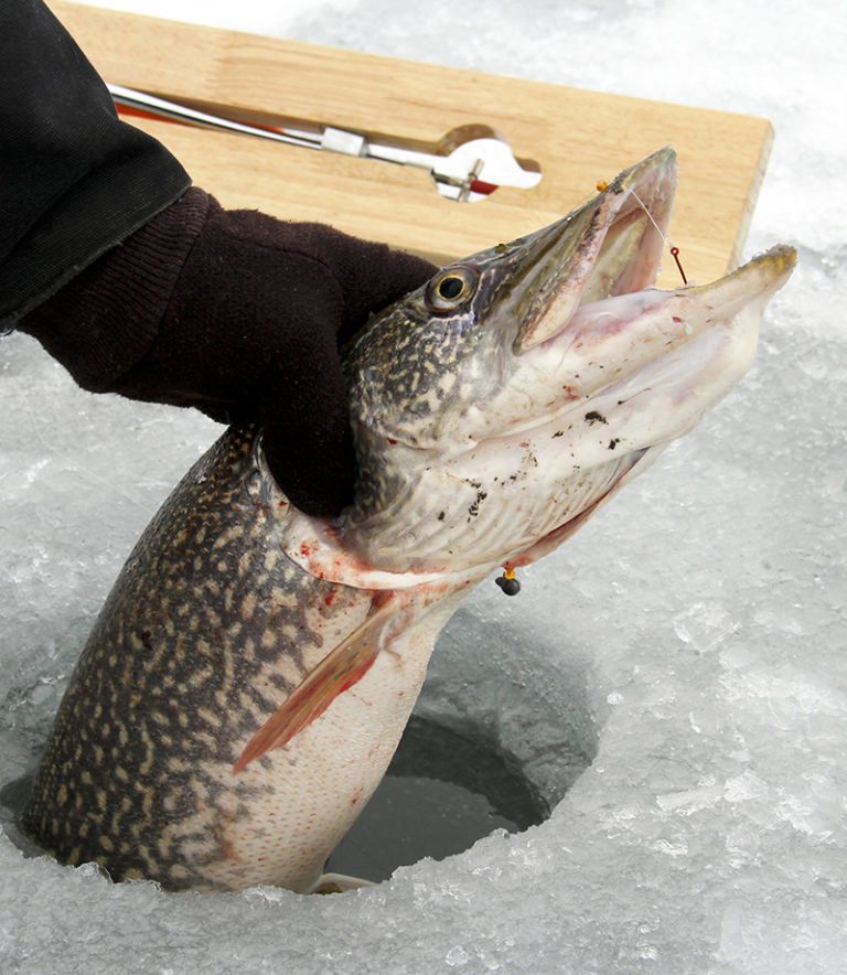 Contact Us – Welcome to Big Rock Sports!